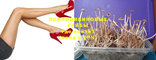 альфа пвп Алексеевка