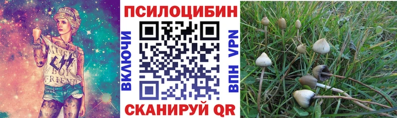 Псилоцибиновые грибы Psilocybe  Данилов 
